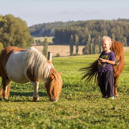 Chumecky Mlyn Stryckovice Exteriör bild