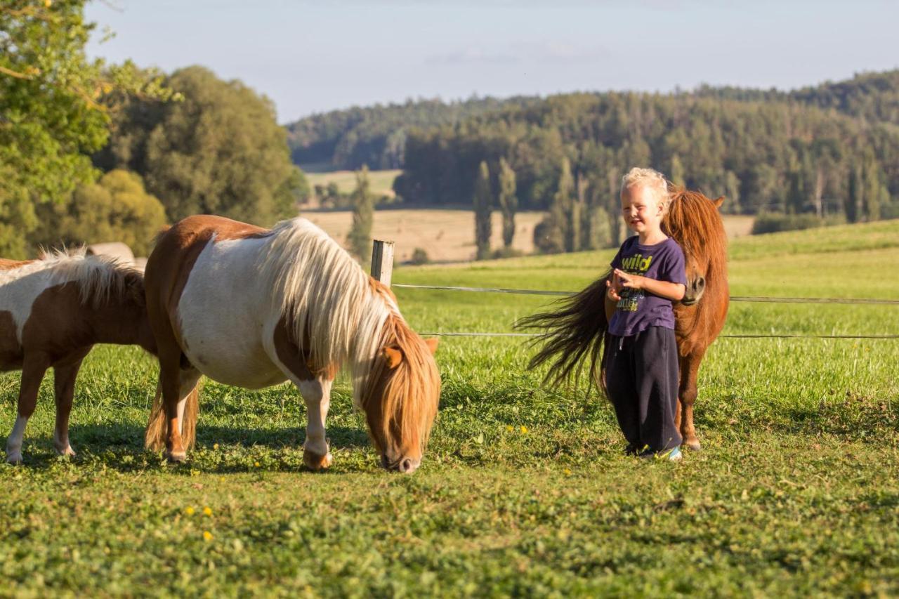 Chumecky Mlyn Stryckovice Exteriör bild